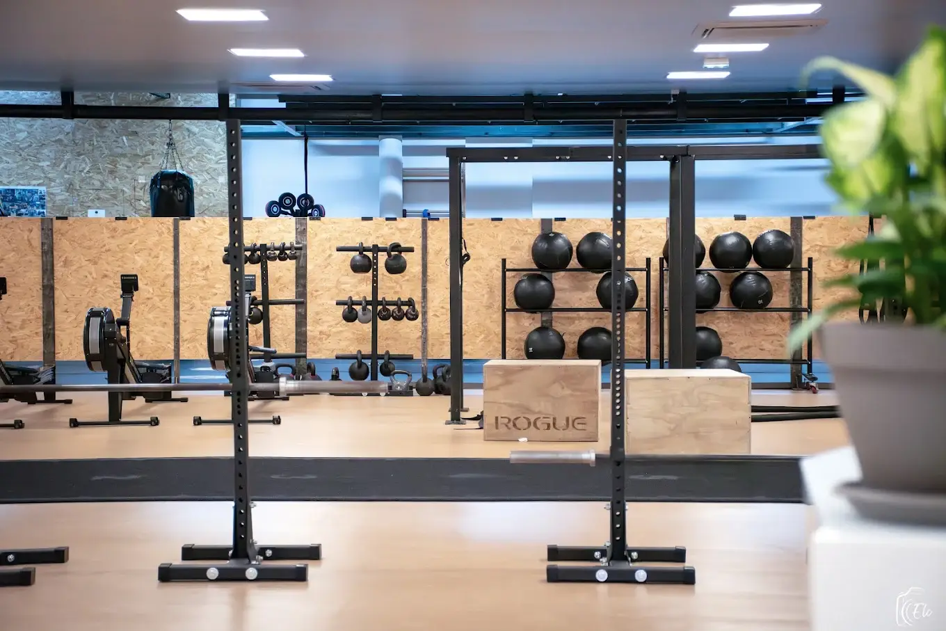 Cross-training area at Cross Training Nation in Semur-en-Auxois: rack, kettlebells, wall balls and rowers
