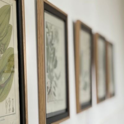 Series of framed antique botanical engravings on a white wall