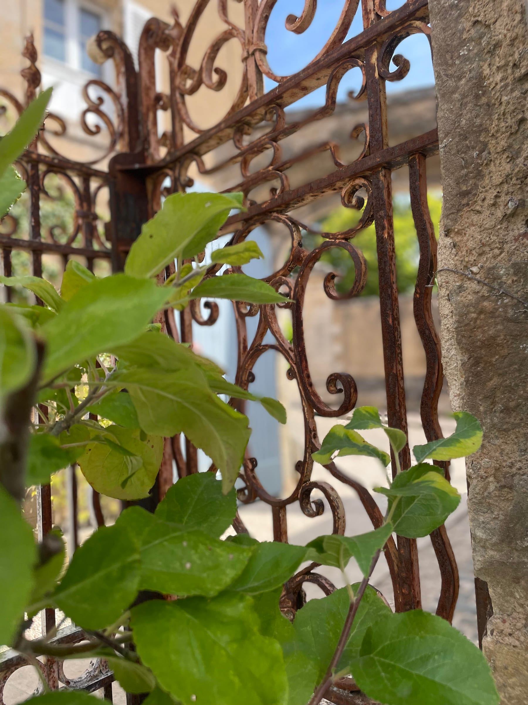 Old wrought-iron gate and foliage in a lane of the medieval town of Semur-en-Auxois
