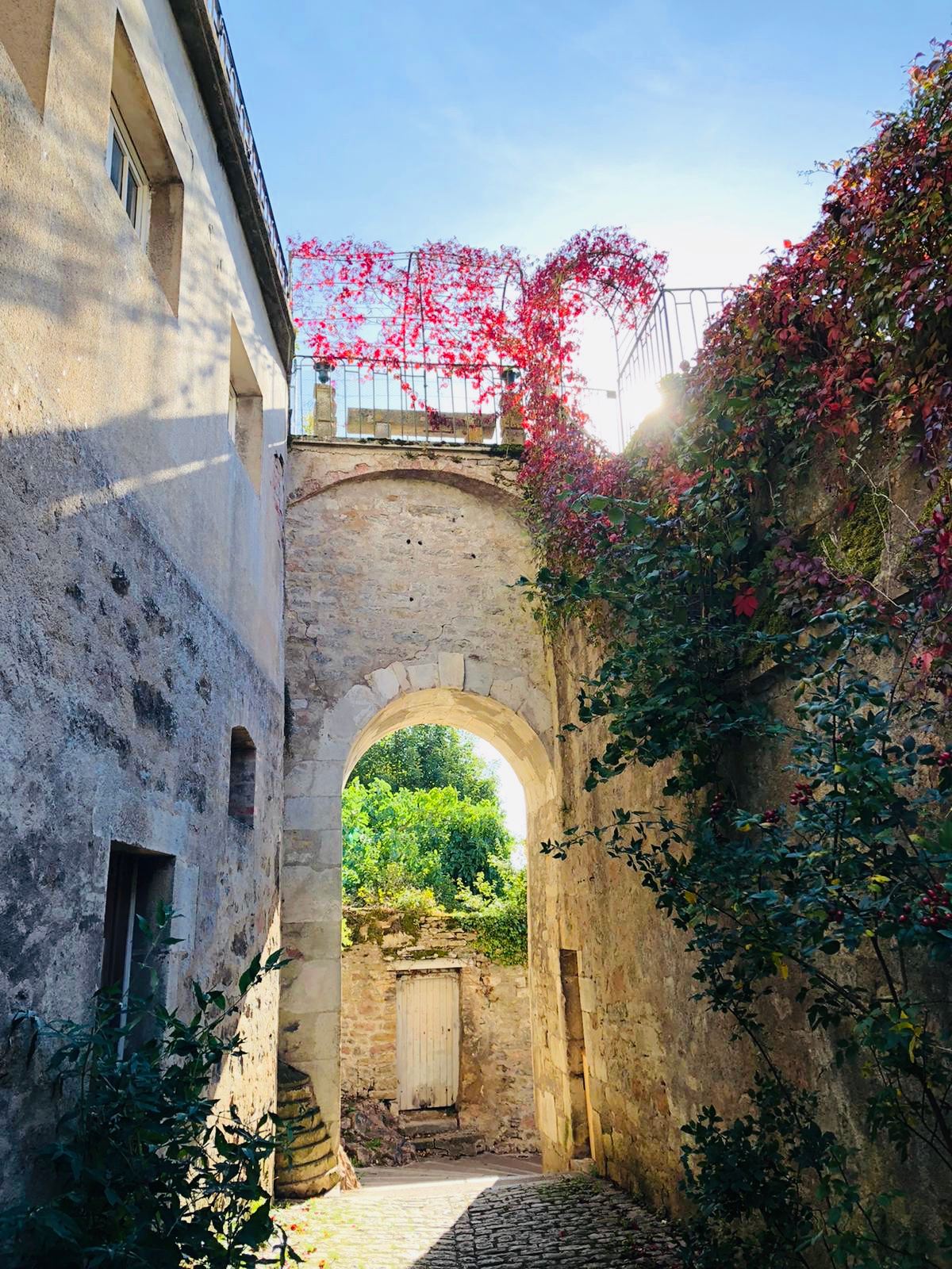 Vaulted stone passage in a medieval lane of Semur-en-Auxois, red Virginia creeper in autumn